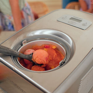 Ice Cream & Gelato Professional IJsmachine